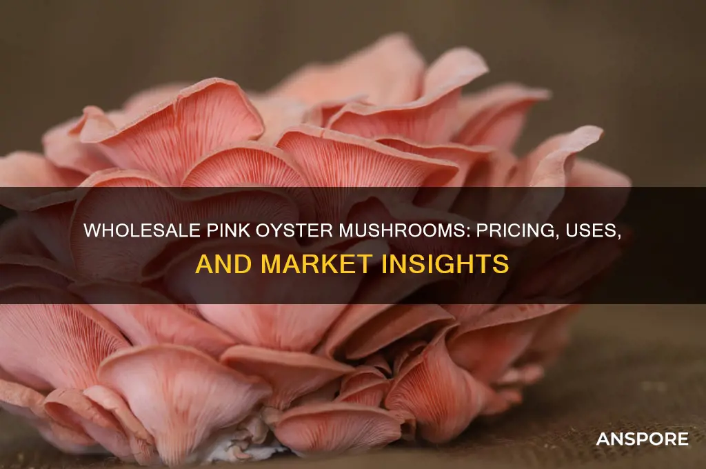 what do pink oyster mushrooms wholesale for