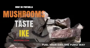 Exploring the Earthy, Savory, and Umami Flavors of Portabella Mushrooms