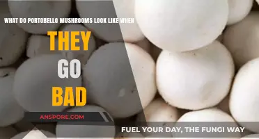 How to Spot Spoiled Portobello Mushrooms: Signs of Decay