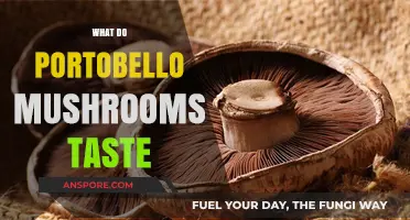Exploring the Rich, Earthy Flavor of Portobello Mushrooms: A Taste Guide