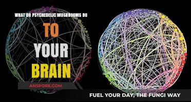 Unveiling the Mind-Altering Effects of Psychedelic Mushrooms on the Brain