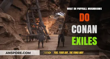 Puffball Mushrooms in Conan Exiles: Uses, Benefits, and Harvesting Tips