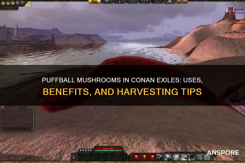 what do puffball mushrooms do conan exiles