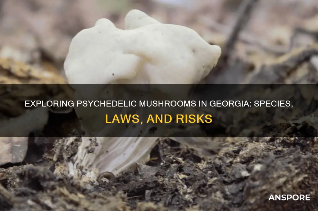 what do pychedelic mushrooms in georgia