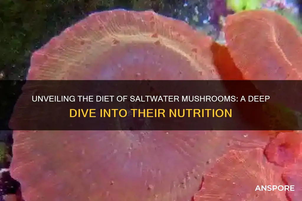 what do saltwater mushrooms eat