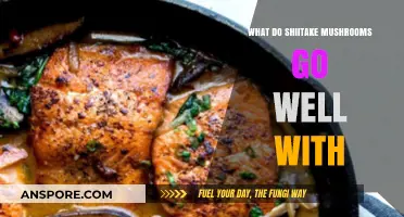 Shiitake Mushroom Pairings: Delicious Combinations to Elevate Your Dishes