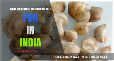 Shiitake Mushroom Prices in India: Market Trends and Value Insights