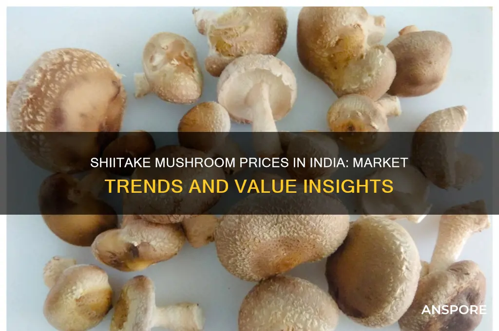 what do shiitake mushrooms sell for in india