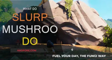 Slurp Mushrooms: Healing Powerhouses in the Wild