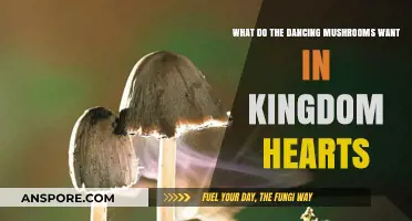 Unveiling the Dancing Mushrooms' Mysterious Motives in Kingdom Hearts