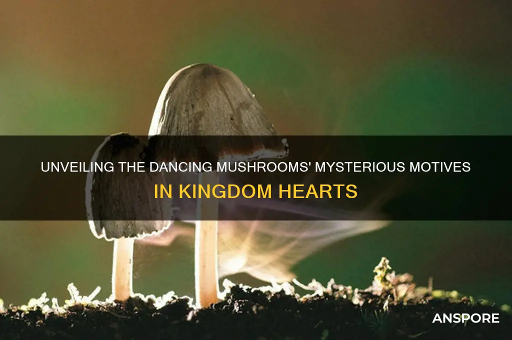 what do the dancing mushrooms want in kingdom hearts
