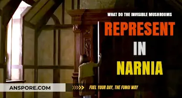 Unveiling Narnia's Hidden Fungi: Symbolism of the Invisible Mushrooms