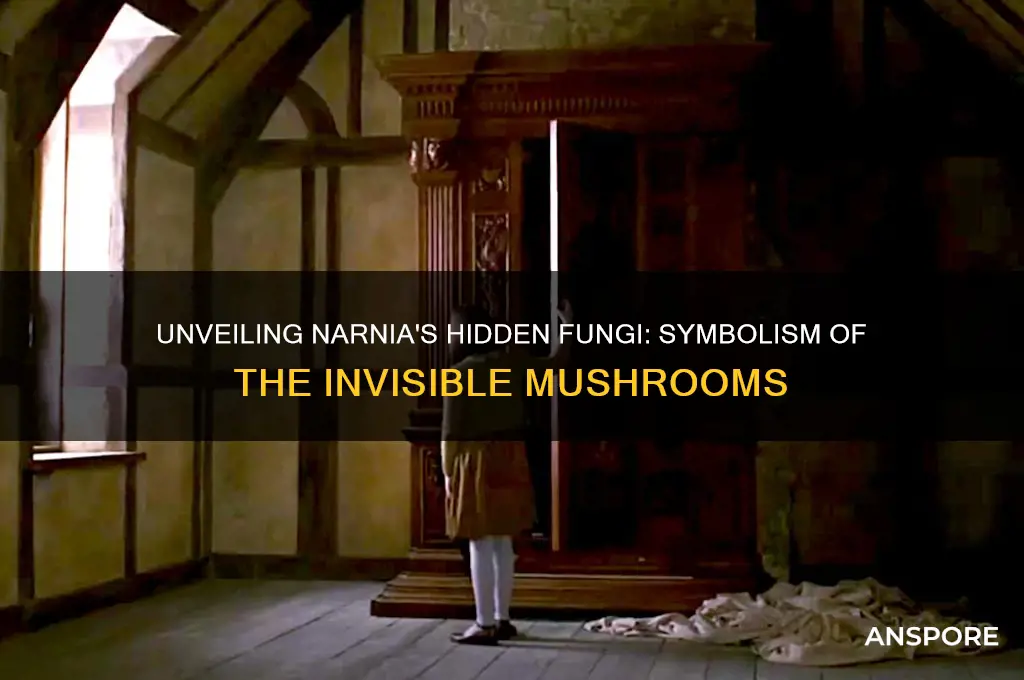 what do the invisible mushrooms represent in narnia