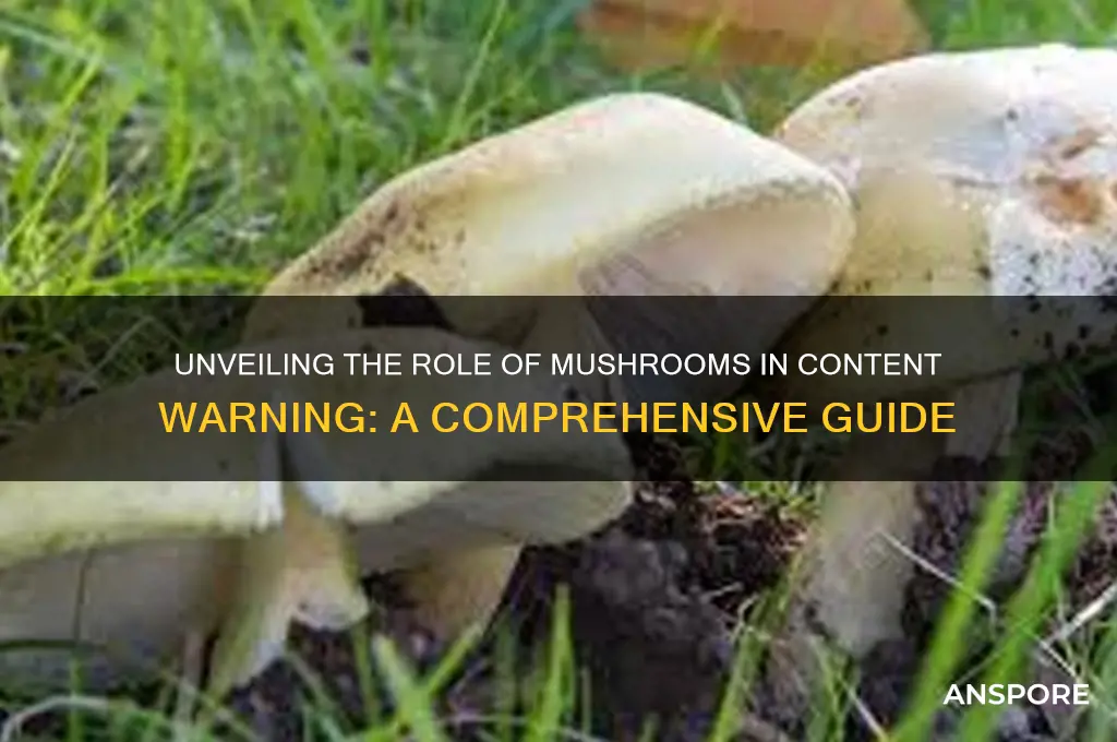 what do the mushrooms do in content warning