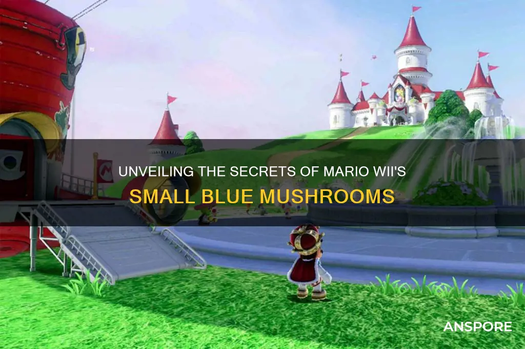 what do the small blue mushrooms do on mario wii