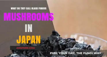 Exploring Japan's Unique Name for Black Fungus Mushrooms: A Cultural Insight