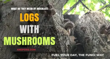 Inoculating Logs with Mushrooms: Unlocking Mycelium Magic for Forest Health