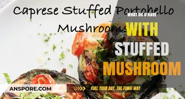 Delicious Stuffed Mushrooms: Creative Fillings and Flavorful Pairings to Try