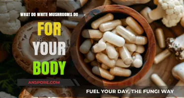 White Mushrooms: Unlocking Nutritional Benefits and Health Boosts for Your Body