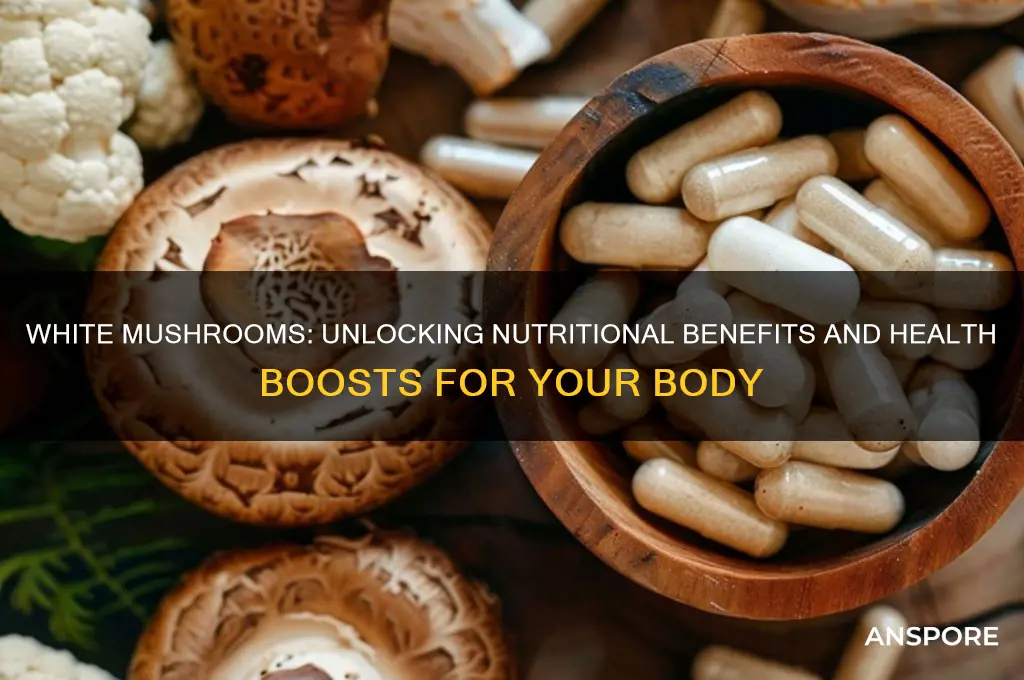 what do white mushrooms do for your body
