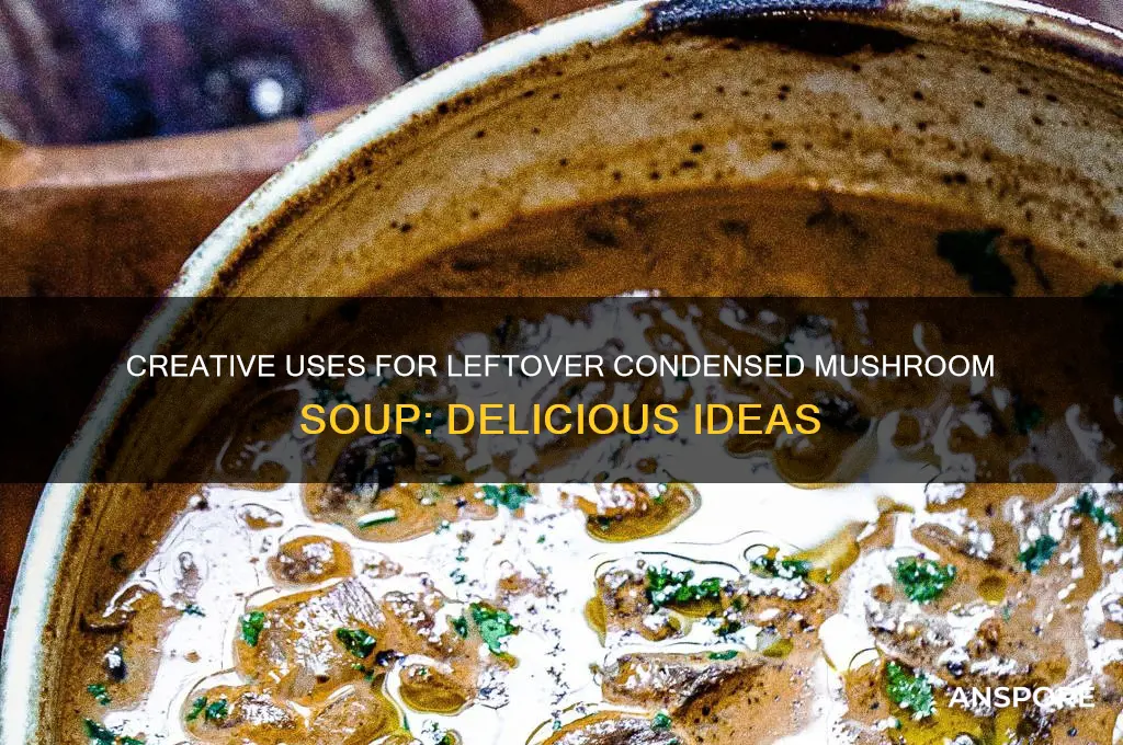 what do with an opened can of condensed mushroom soup