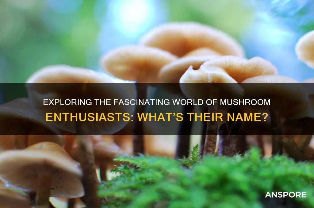 what do you call a mushroom enthusiast
