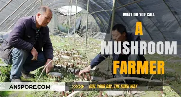 The Surprising Name for a Mushroom Farmer: Unveiling the Fungus Cultivator