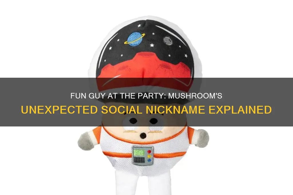 what do you call a mushroom in party