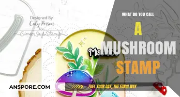 Unveiling the Unique Name for a Mushroom-Themed Stamp