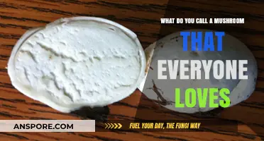 The Universally Adored Mushroom: A Fungus Among Us All Love