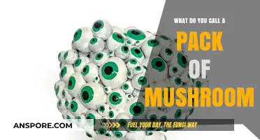 What’s the Collective Noun? Unveiling the Term for a Pack of Mushrooms