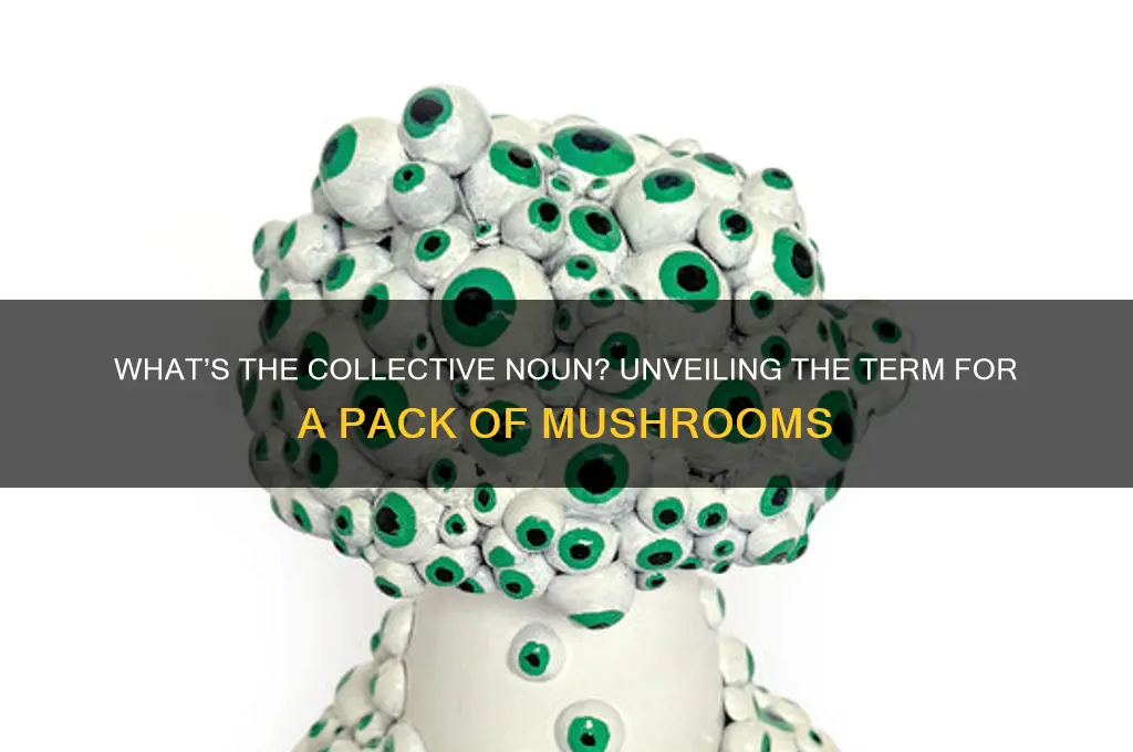 what do you call a pack of mushroom