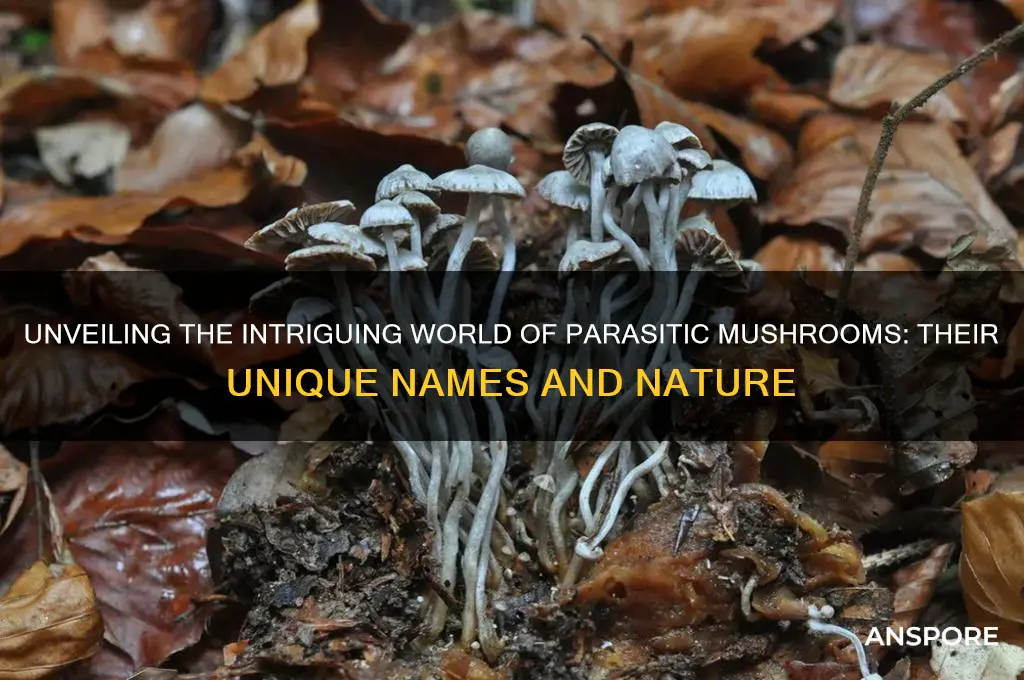 what do you call a parasitic mushroom