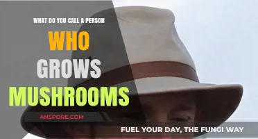 The Art of Mushroom Cultivation: What’s the Grower’s Title?