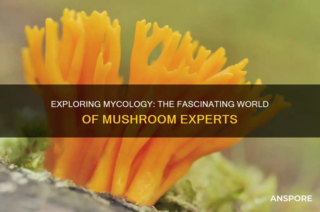 what do you call a person who studies mushrooms
