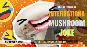 Spore-tacular Humor: Naming the World’s Funniest Mushroom Joke