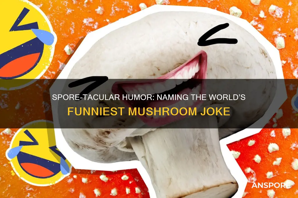 what do you call an international mushroom joke