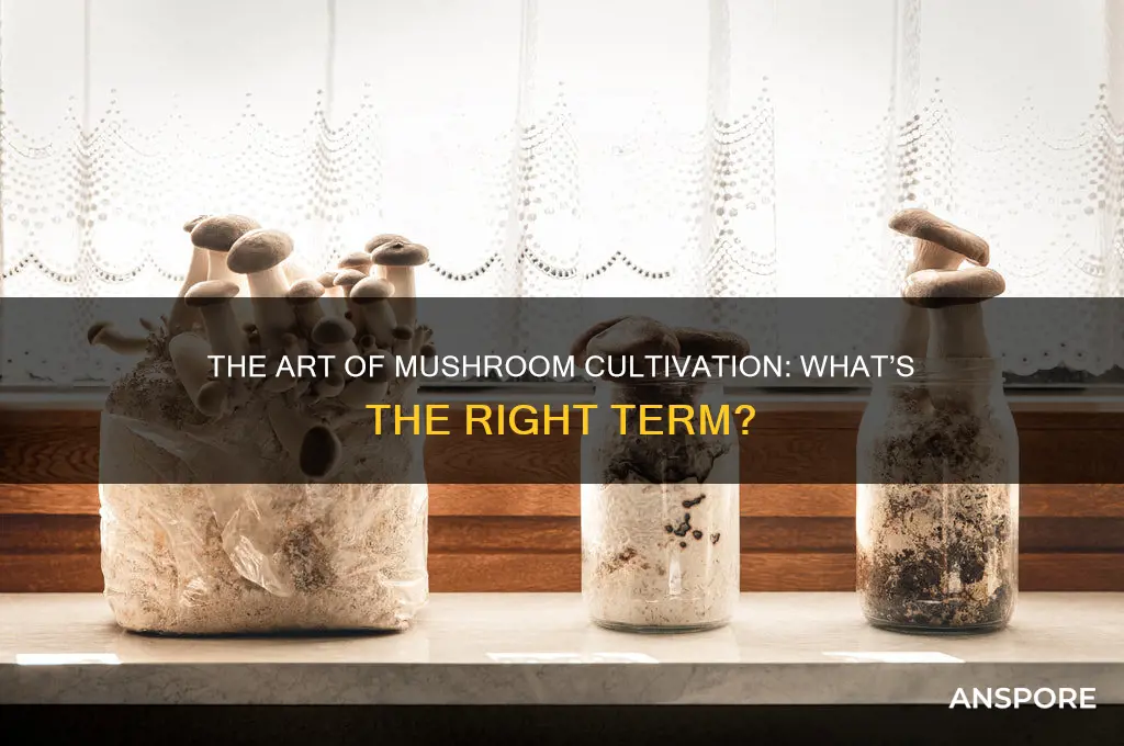 what do you call mushroom growing