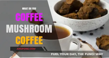 Exploring the Unique Blend: What is Mushroom Coffee and Why Try It?