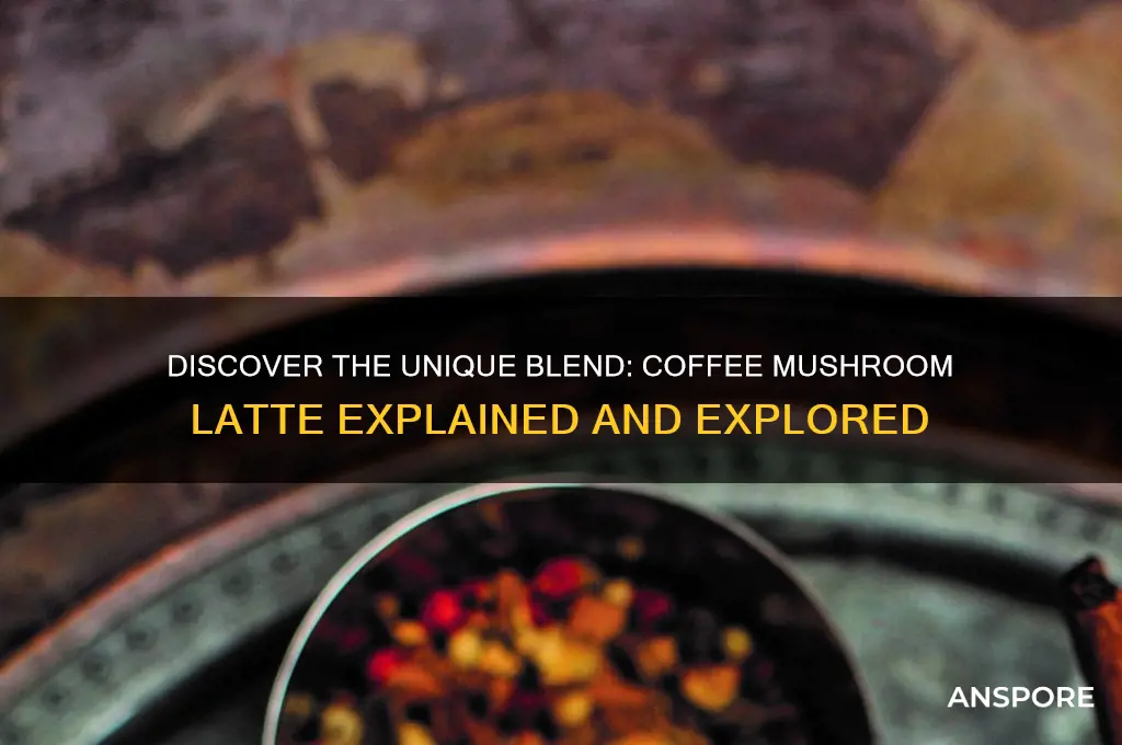 what do you coffee mushroom latte