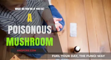 Accidentally Ate a Poisonous Mushroom? Immediate Steps to Take Now