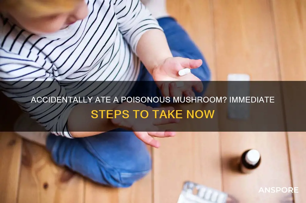 what do you do if you eat a poisonous mushroom