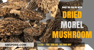 Creative Ways to Use Dried Morel Mushrooms in Your Cooking