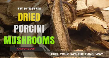 Revitalizing Dried Porcini Mushrooms: Creative Culinary Uses and Storage Tips