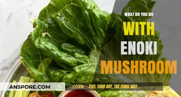 Creative Ways to Cook and Enjoy Enoki Mushrooms in Recipes