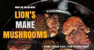 Lion's Mane Mushrooms: Creative Uses, Health Benefits, and Culinary Ideas