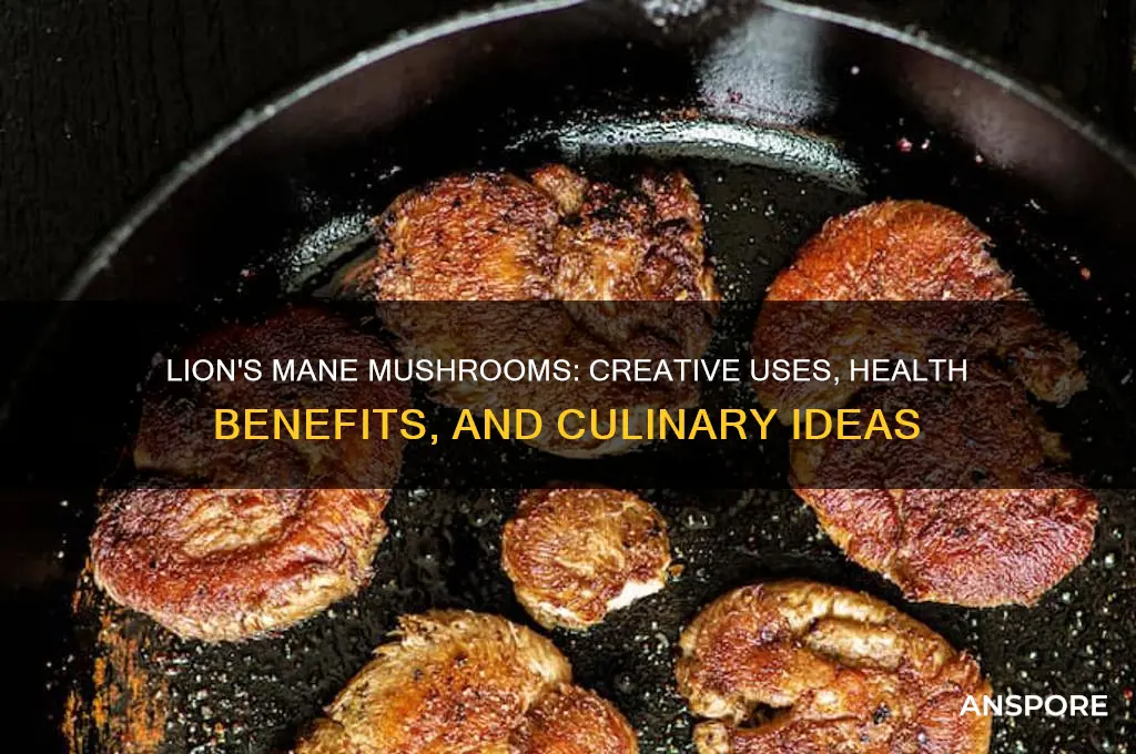 what do you do with lion