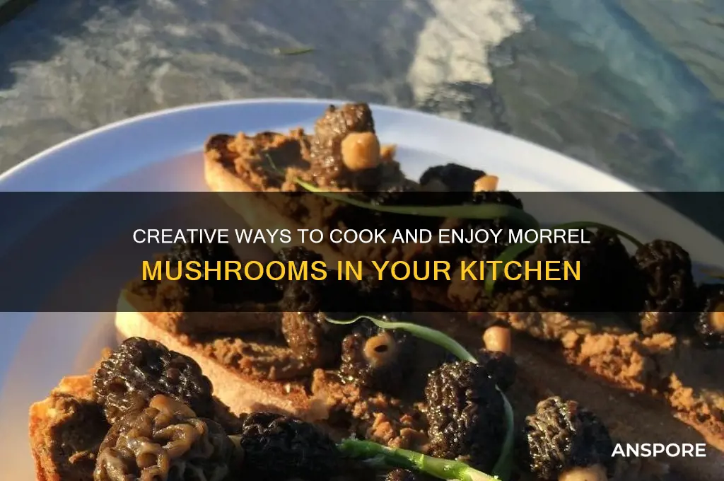 what do you do with morrel mushrooms