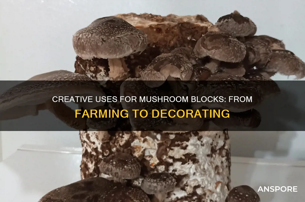 what do you do with mushroom blocks