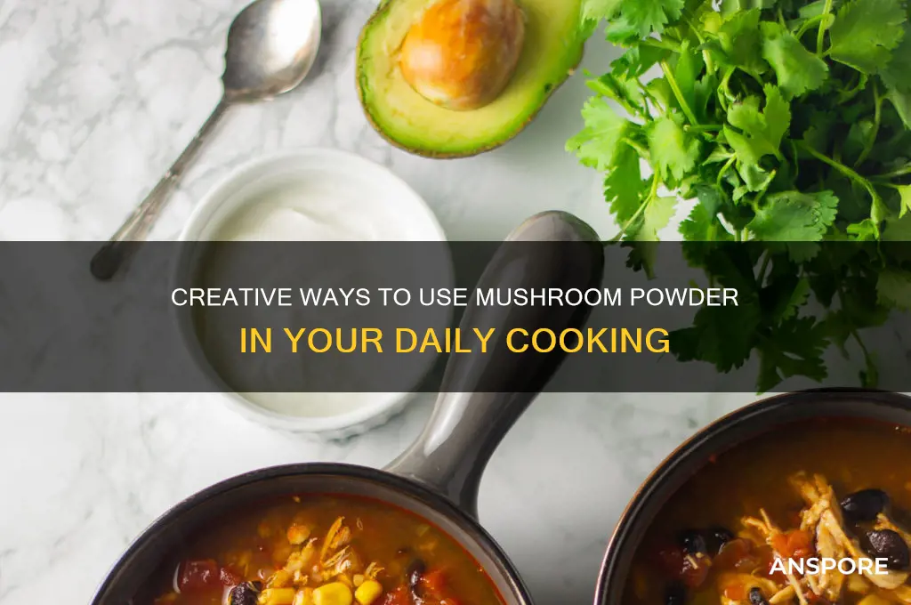 what do you do with mushroom powder